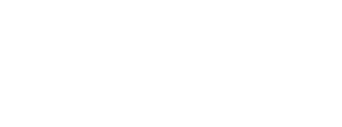 WAVA Group